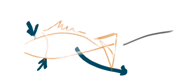 Grafismo de un pescado hecho a mano